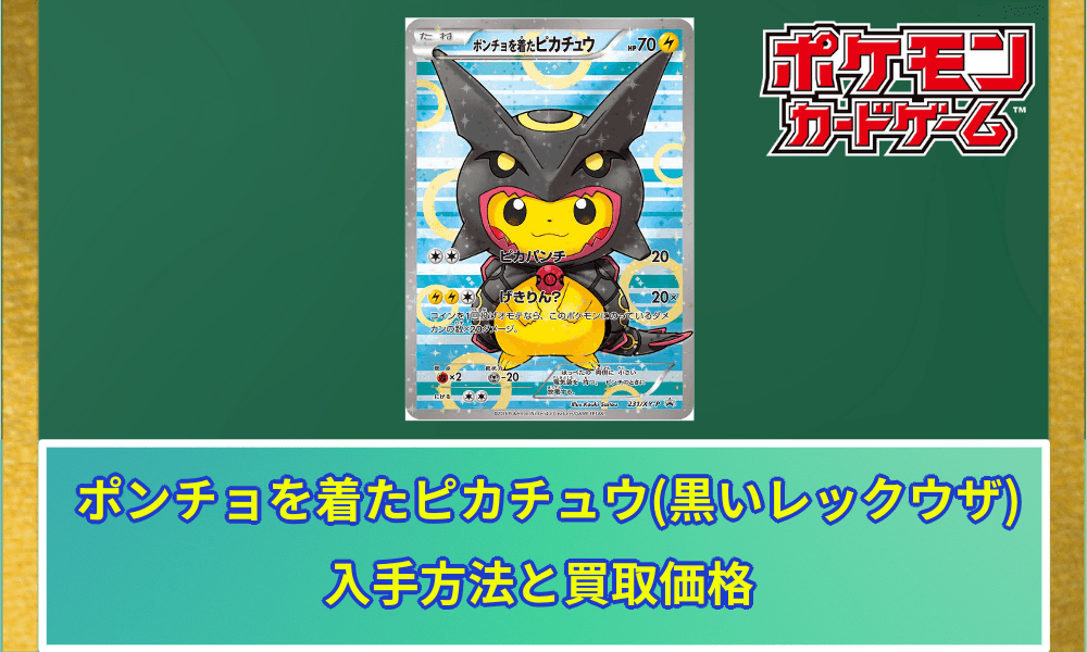 ポンチョを着たピカチュウ(黒いレックウザ)