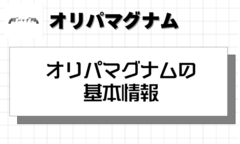 オリパマグナムの基本情報-w80